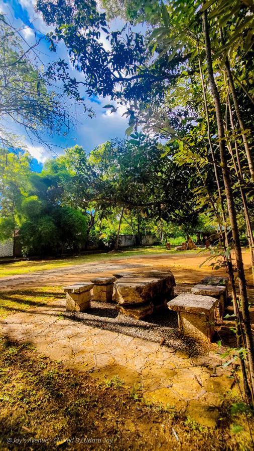 Jay'S Avenue Hotell Udawalawe Exteriör bild