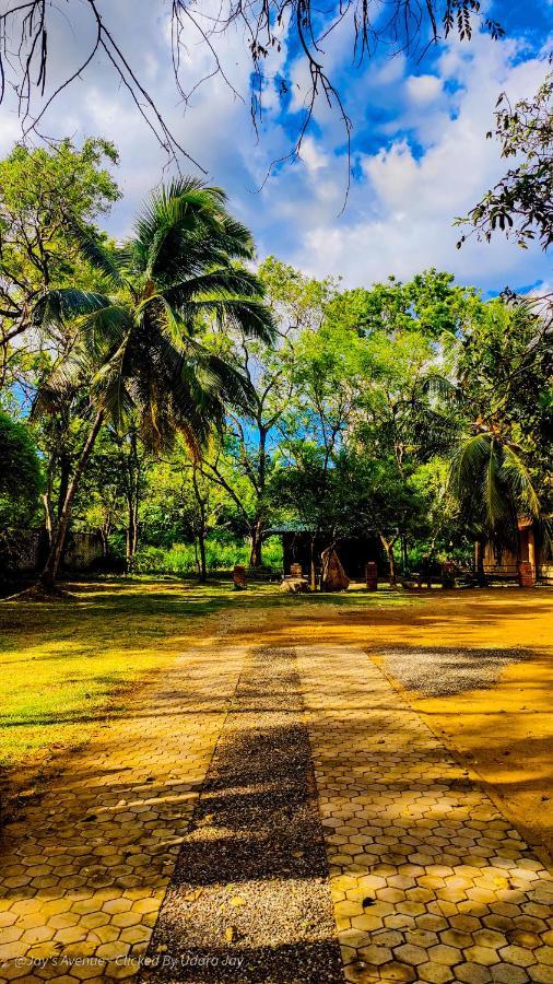 Jay'S Avenue Hotell Udawalawe Exteriör bild