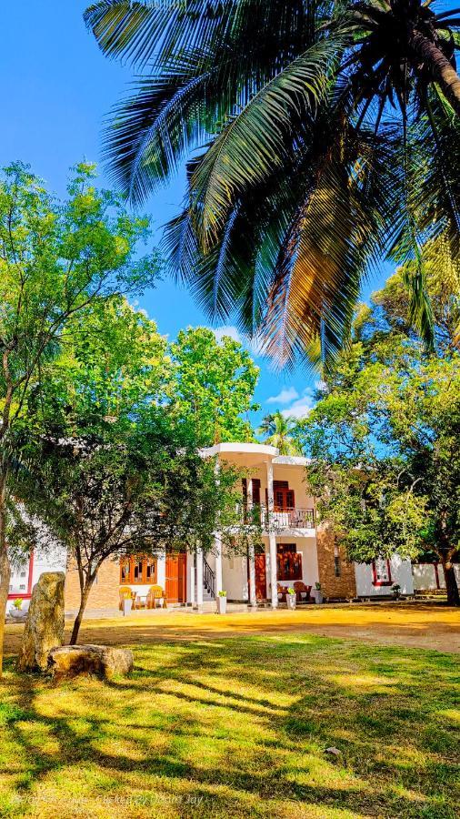Jay'S Avenue Hotell Udawalawe Exteriör bild