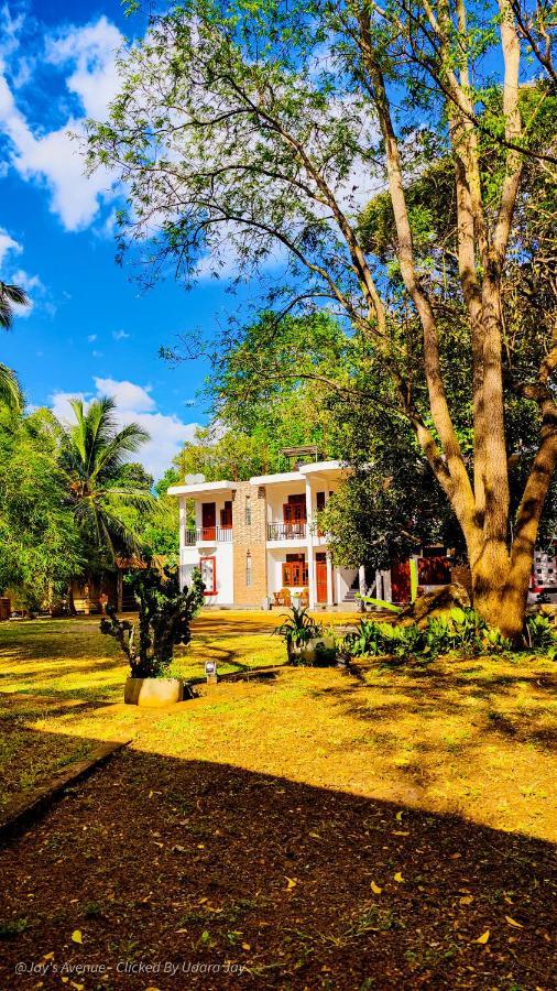 Jay'S Avenue Hotell Udawalawe Exteriör bild